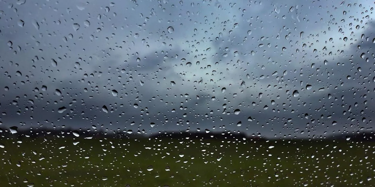 Wechselhaftes Wetter in Franken: Von milde Luft bis zu Regen