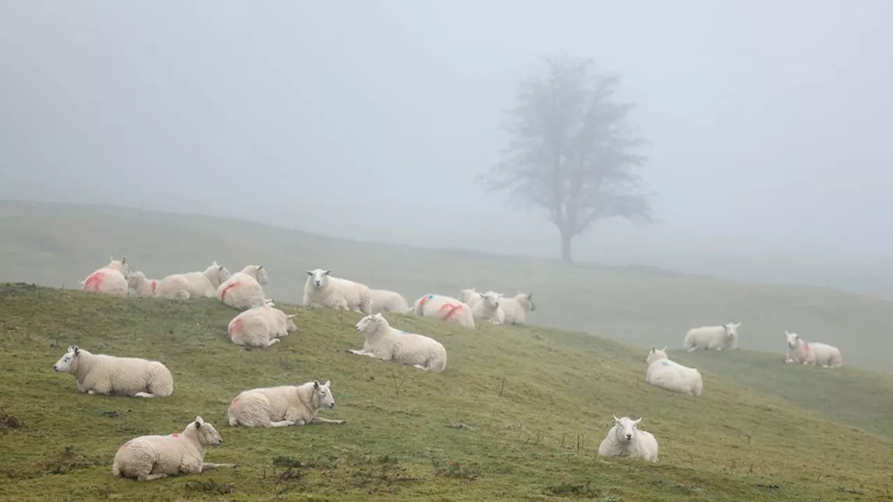 Storm Éowyn treft Ierland: Orkaanwaarschuwing en massale stroomuitval verwacht