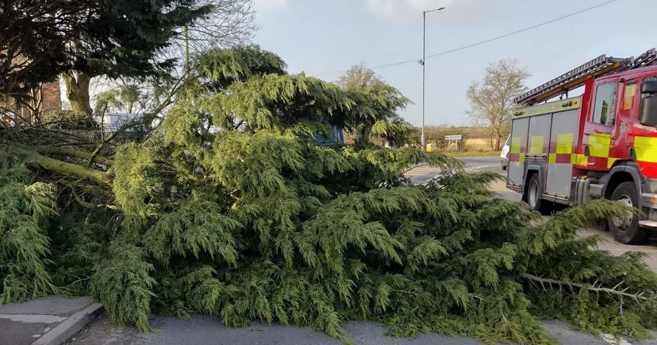 Storm Eowyn Causes Widespread Disruption in Nottinghamshire