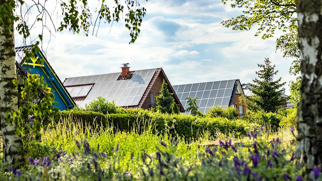 Photovoltaikanlage: Ratgeber für den Kauf