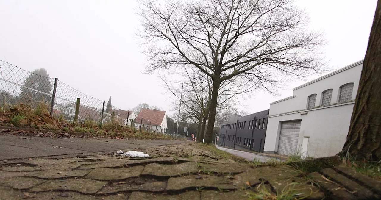 Diese Bauprojekte stehen in diesem Jahr in Hiddenhausen an