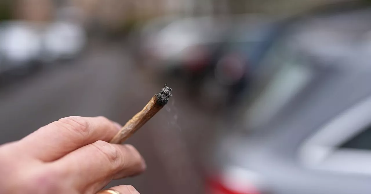 Experten fordern strengere Cannabis-Grenzwerte für Autofahrer