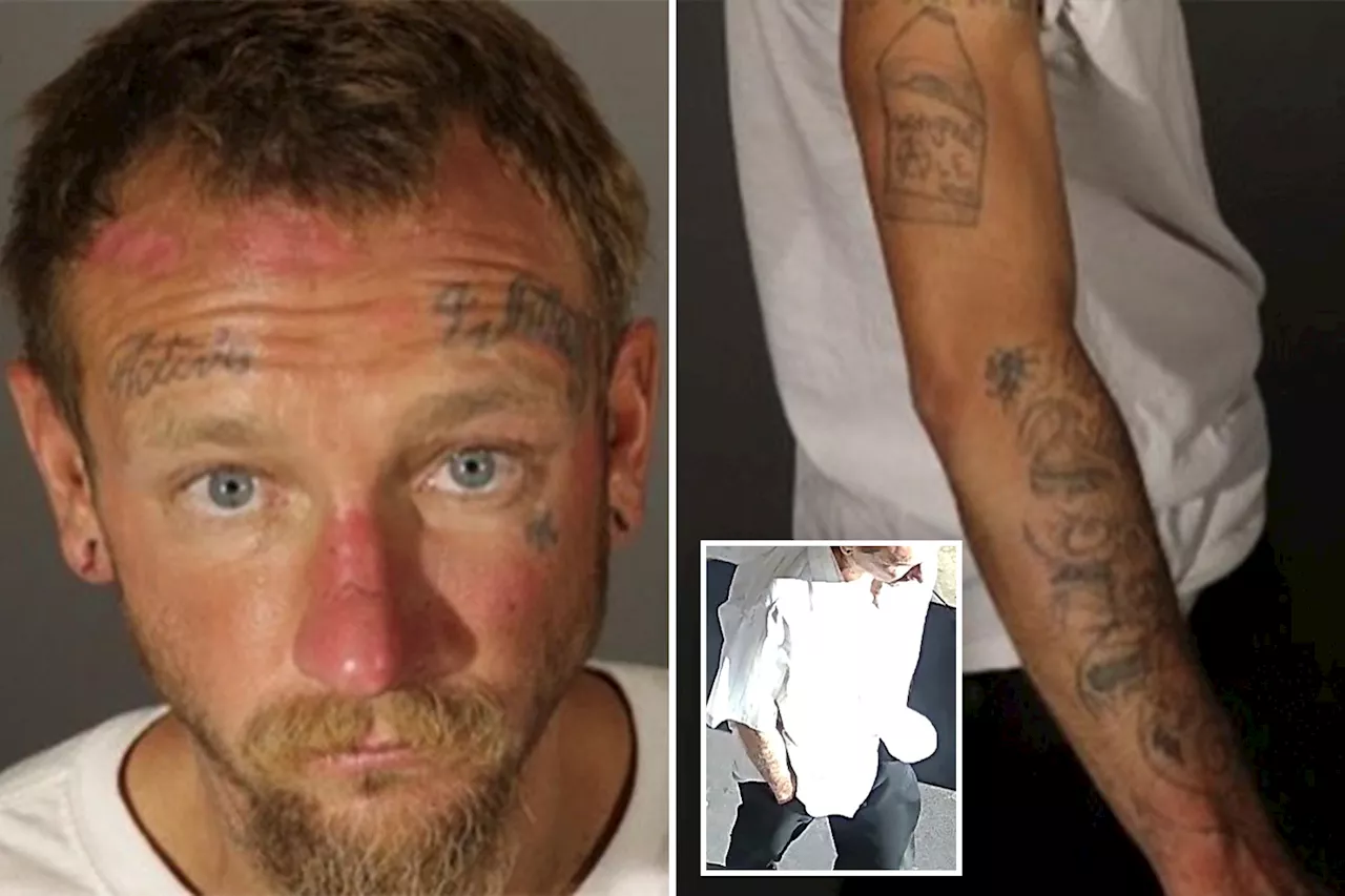 Homeless man with 'active whiteboy' tattooed on his head on the run after allegedly beating elderly businessman to death with bat: cops