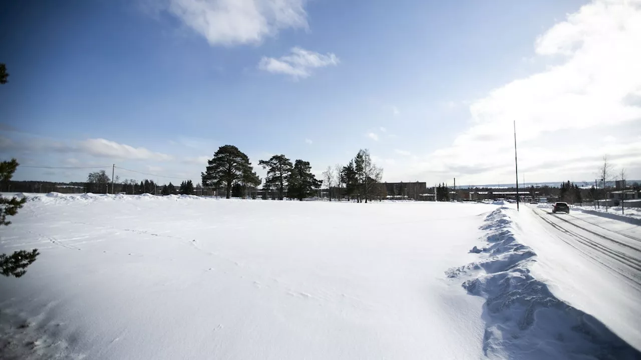 Nya Remonthagen: Bostadsområde stoppas i Östersund