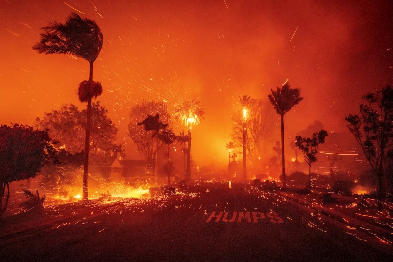 Trump Blames California Water Policy for Wildfires, Igniting Debate