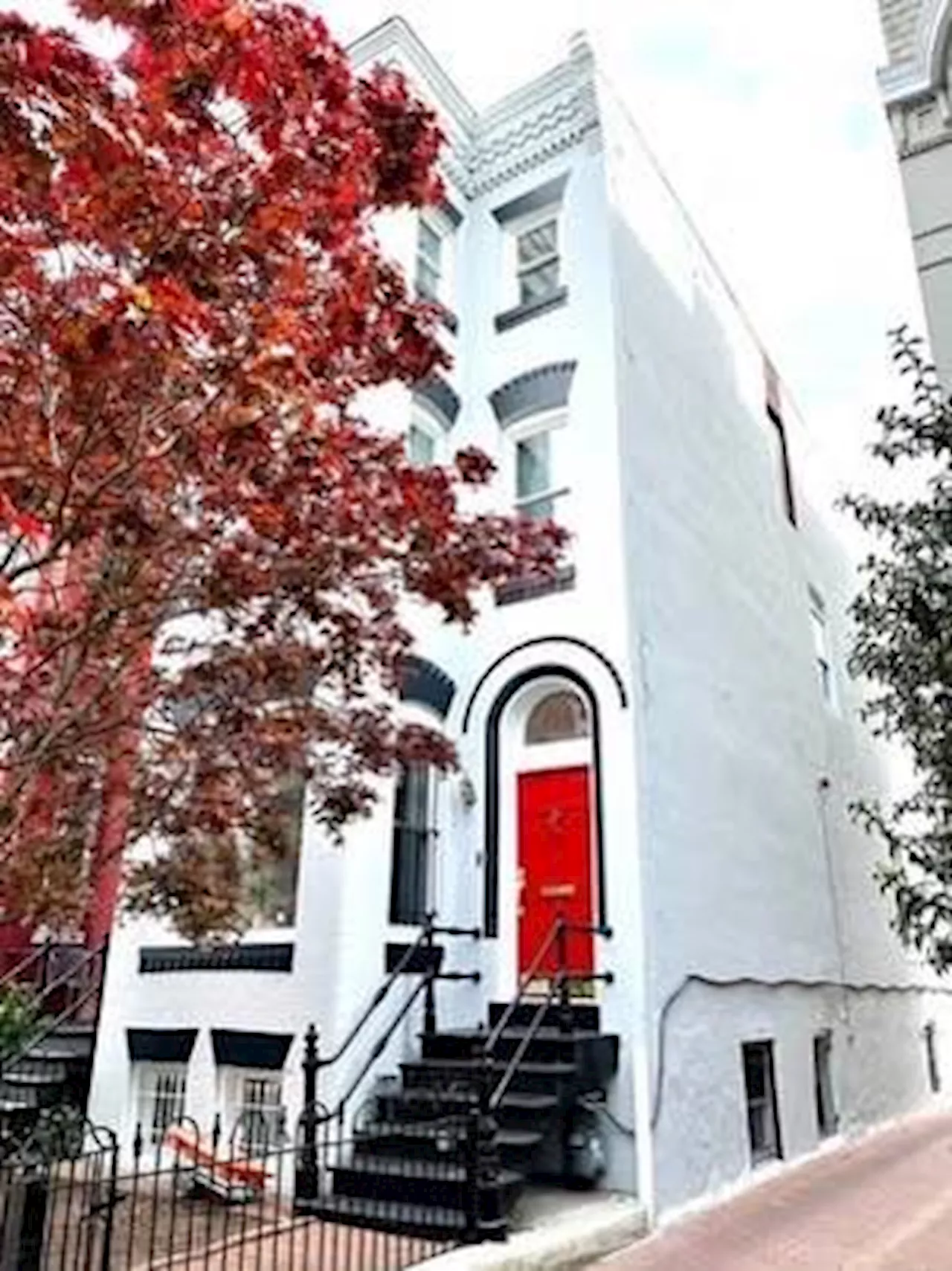 Sunniest Basement Apartment with Outdoor Space!