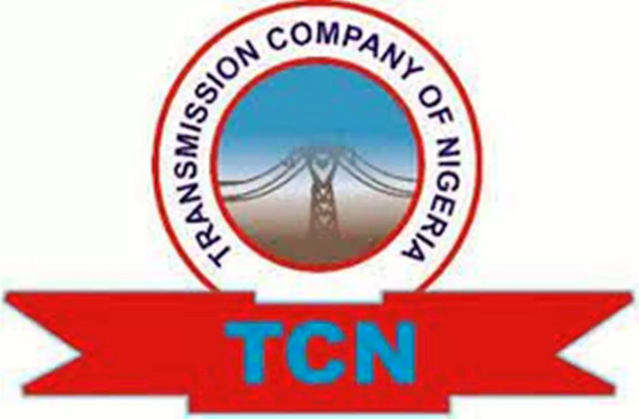 Power Restored to Abuja After Two-Week Transmission Infrastructure Relocation