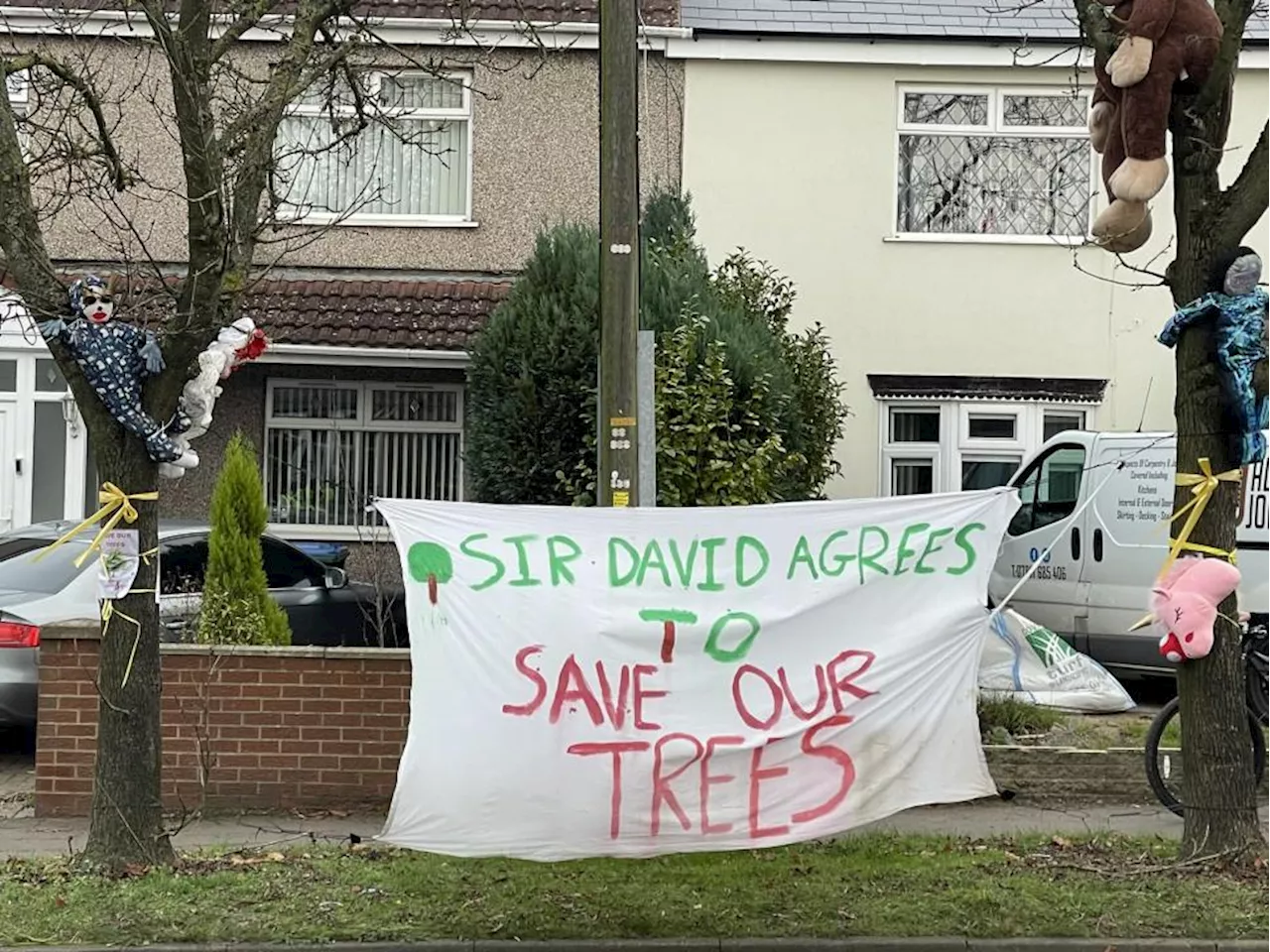 Controversial cycle lane ‘opposed’ by David Attenborough to go ahead after extremely narrow vote – as council says trees at centre of heated row are only being felled as “last resort”