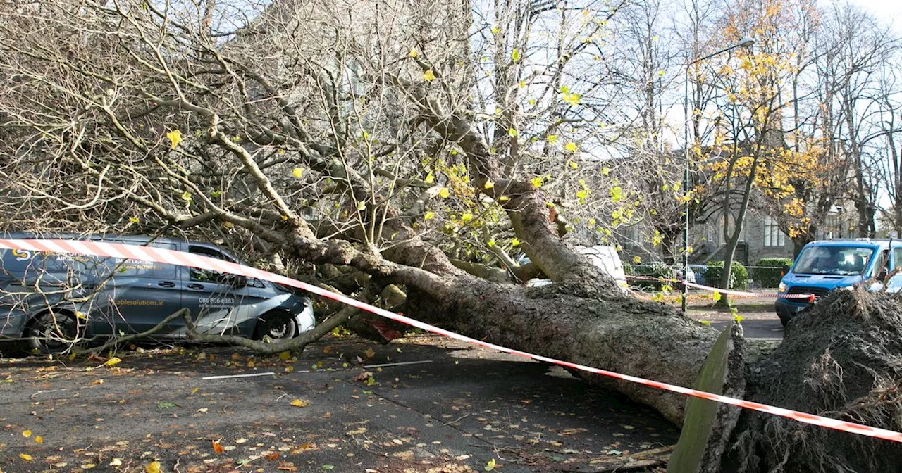 Storm Éowyn Damage: How to Claim Community Welfare Services