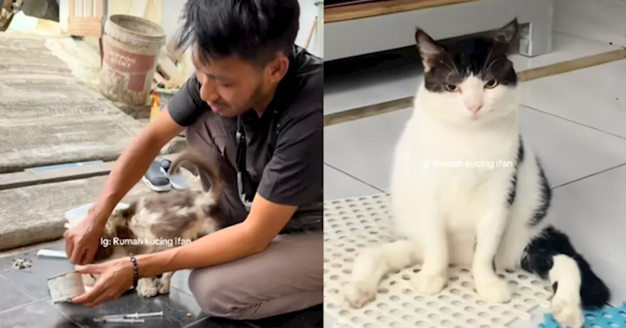 Indonesian Man Nurtures Sick Stray Cat to Full Recovery