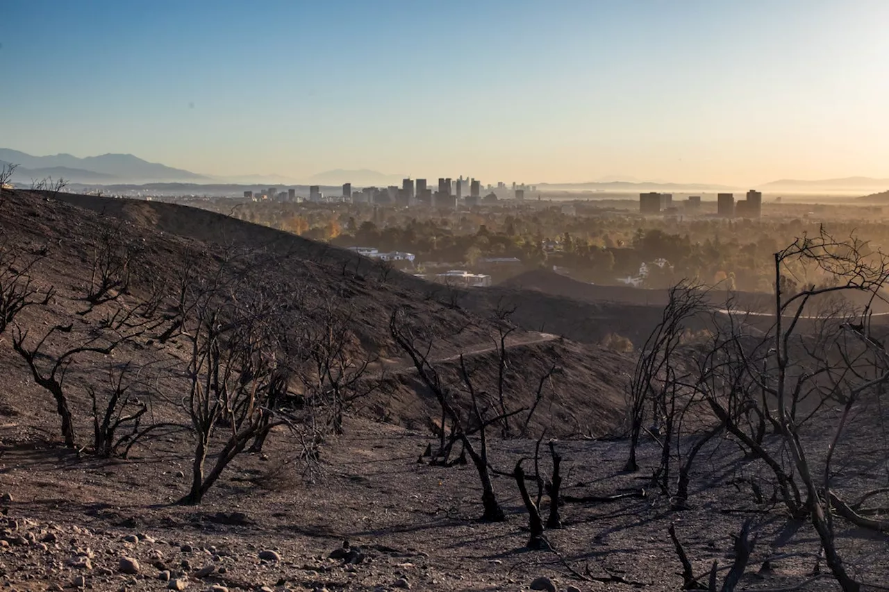 LA Rain Offers Fire Relief but Raises Debris Flow Concerns