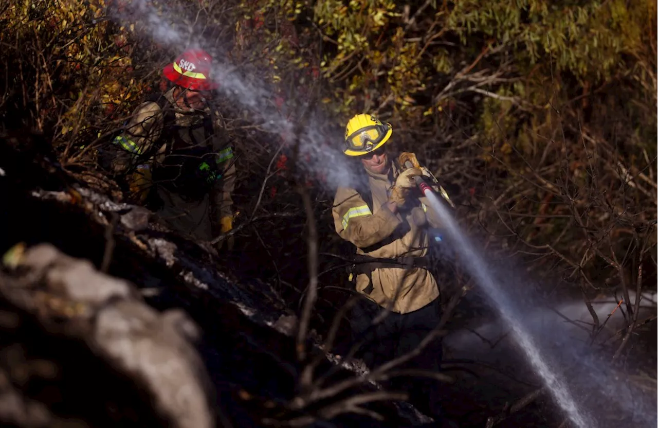 San Diego Firefighters Contain Brush Fire Near UC San Diego