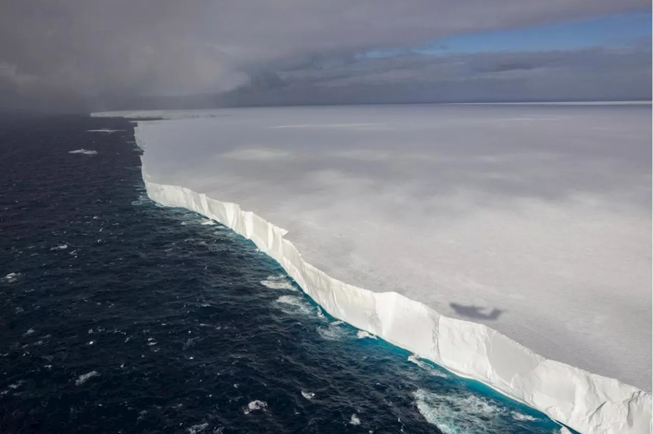 World's Biggest Iceberg Heads Towards Penguin Haven