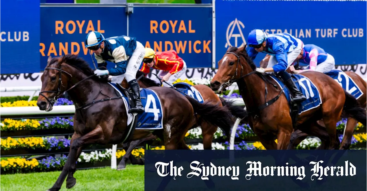 Race-by-race preview and tips for Randwick on Saturday