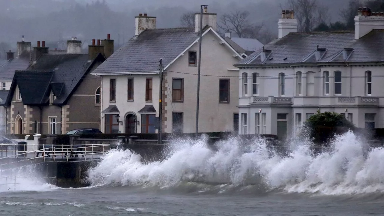 Sturm in Irland und Großbritannien: »Éowyn« reißt Bäume um und deckt Dächer ab