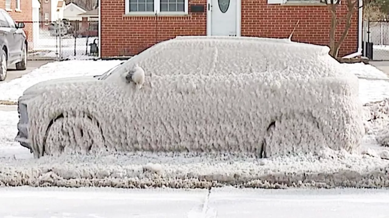 Schneechaos in den USA: Autos mit Eishülle, festgefrorener Tanker und umgesiedelte Schildkröten