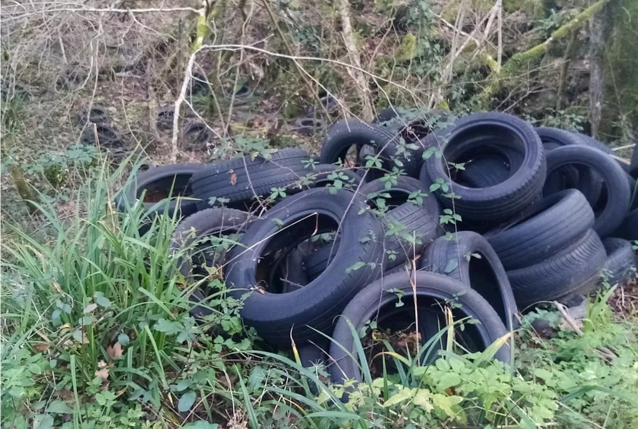 Vidéo. Pays basque : une décharge de pneus découverte dans une forêt de Saint-Pée-sur-Nivelle à proximité d’un ruisseau