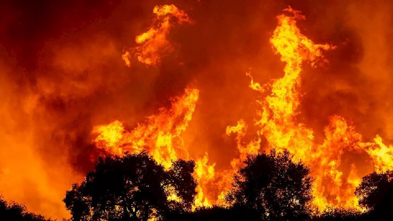 Badai Hujan Memberi Keuntungan bagi Penanganan Kebakaran di Los Angeles, Trump Berencana Kunjungan