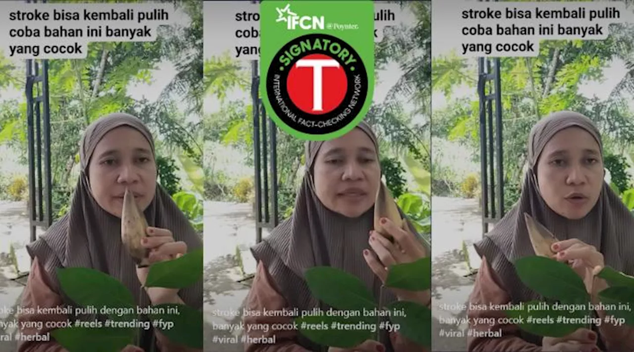 Keliru, Rebusan Daun Salam dan Bunga Jantung Pisang Bisa Menyembuhkan Stroke