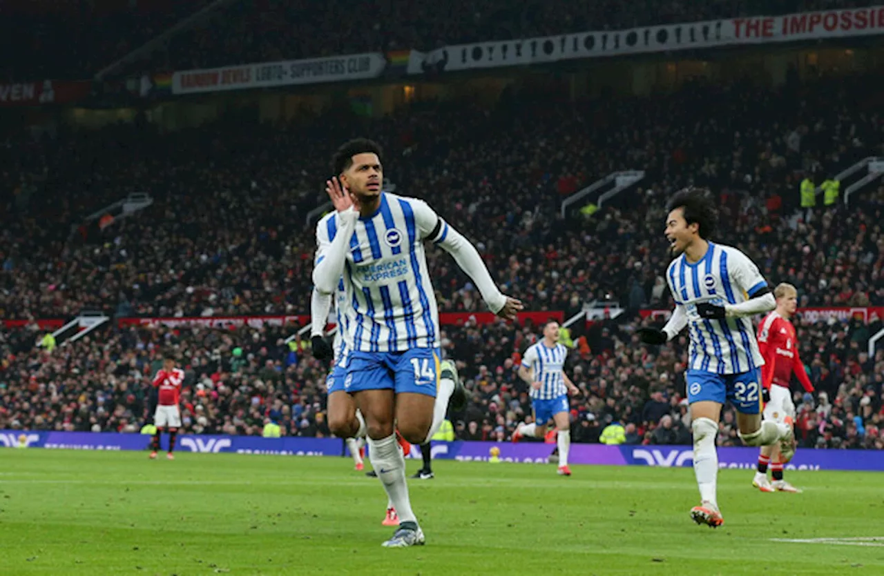 The fortunes of Brighton and Man United show why managers are overrated