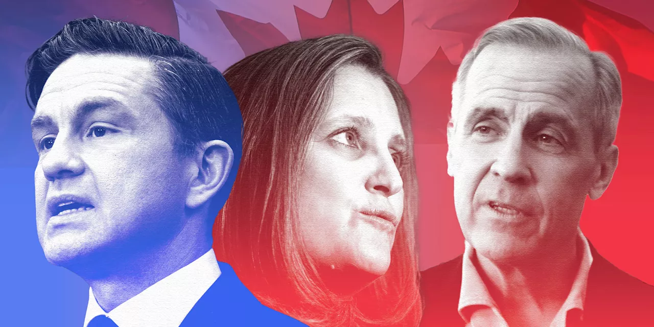 Liberal leadership race a chance for Tories to dominate political ad space, say experts