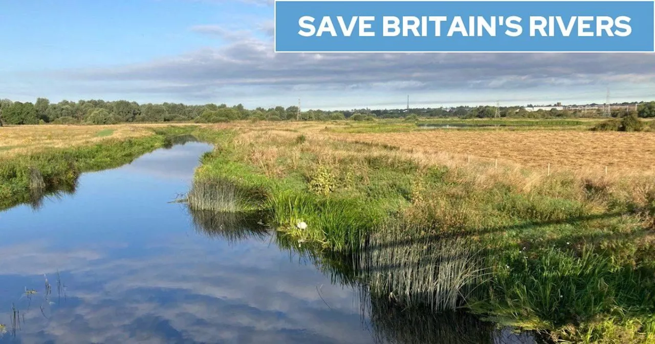 Campaigners Warn of 'One More Blow' to UK Waterway Clean-up as Government Considers Diverting Fines