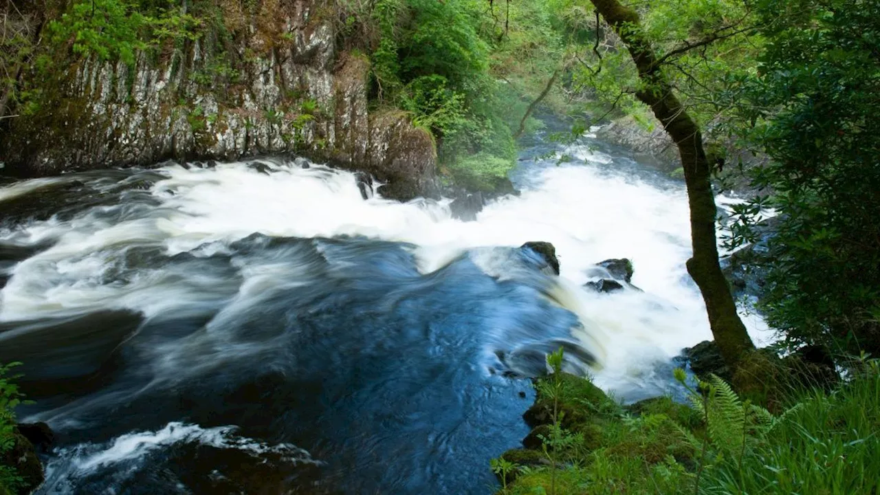 National Trust Calls for Public Support to Protect Britain's Natural Treasures