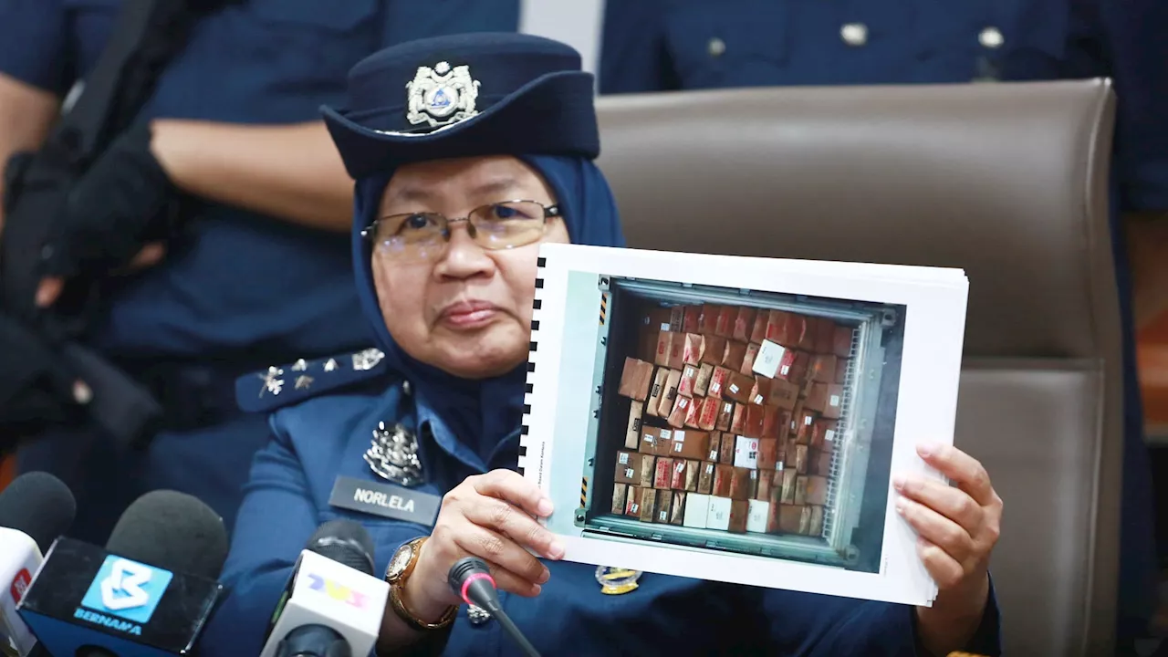 Katak sejuk beku seludup sempena Tahun Baru Cina dirampas