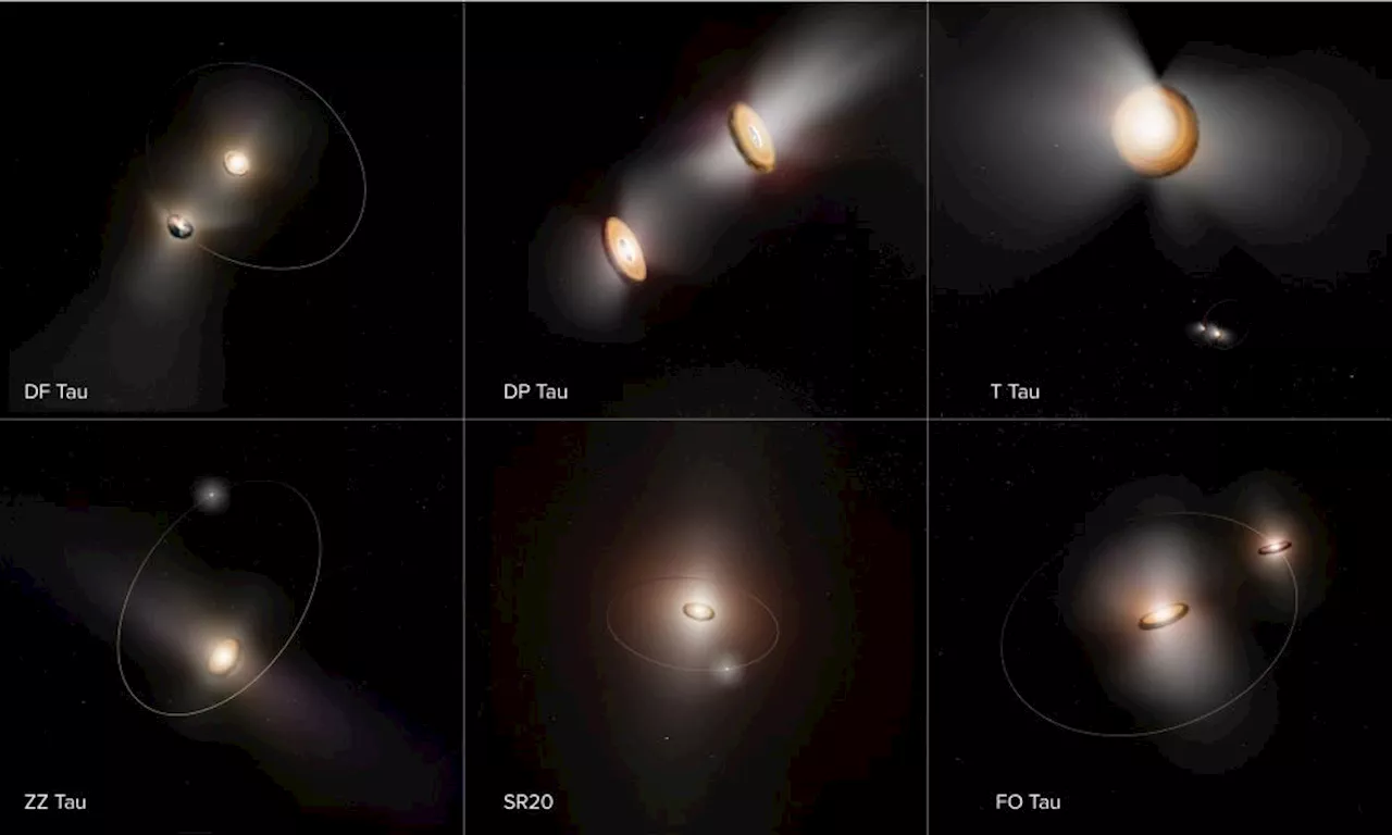 Double Planetary Disks: Unraveling the Mysteries of Binary Star Systems