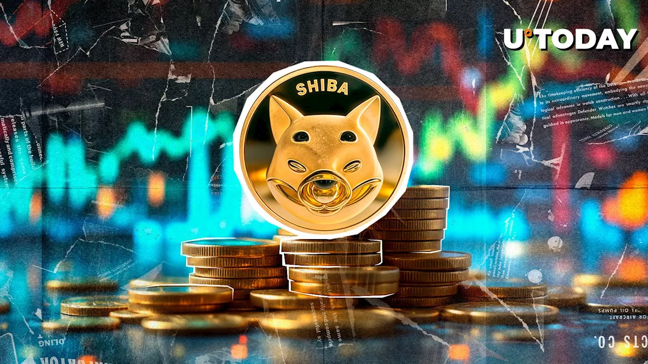 Shiba Inu Faces Critical Support Test at $0.000019