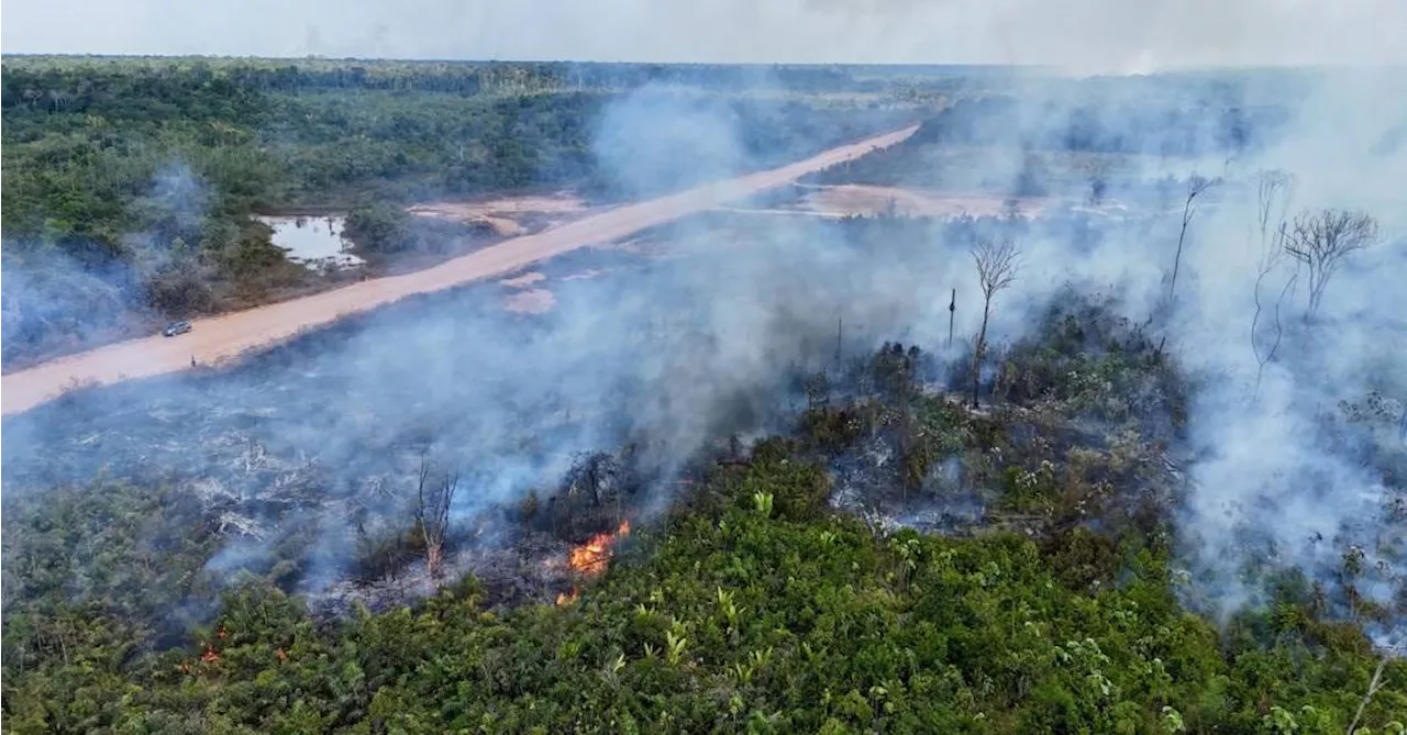 Degradação da Amazônia teve recorde histórico em 2024, diz Imazon