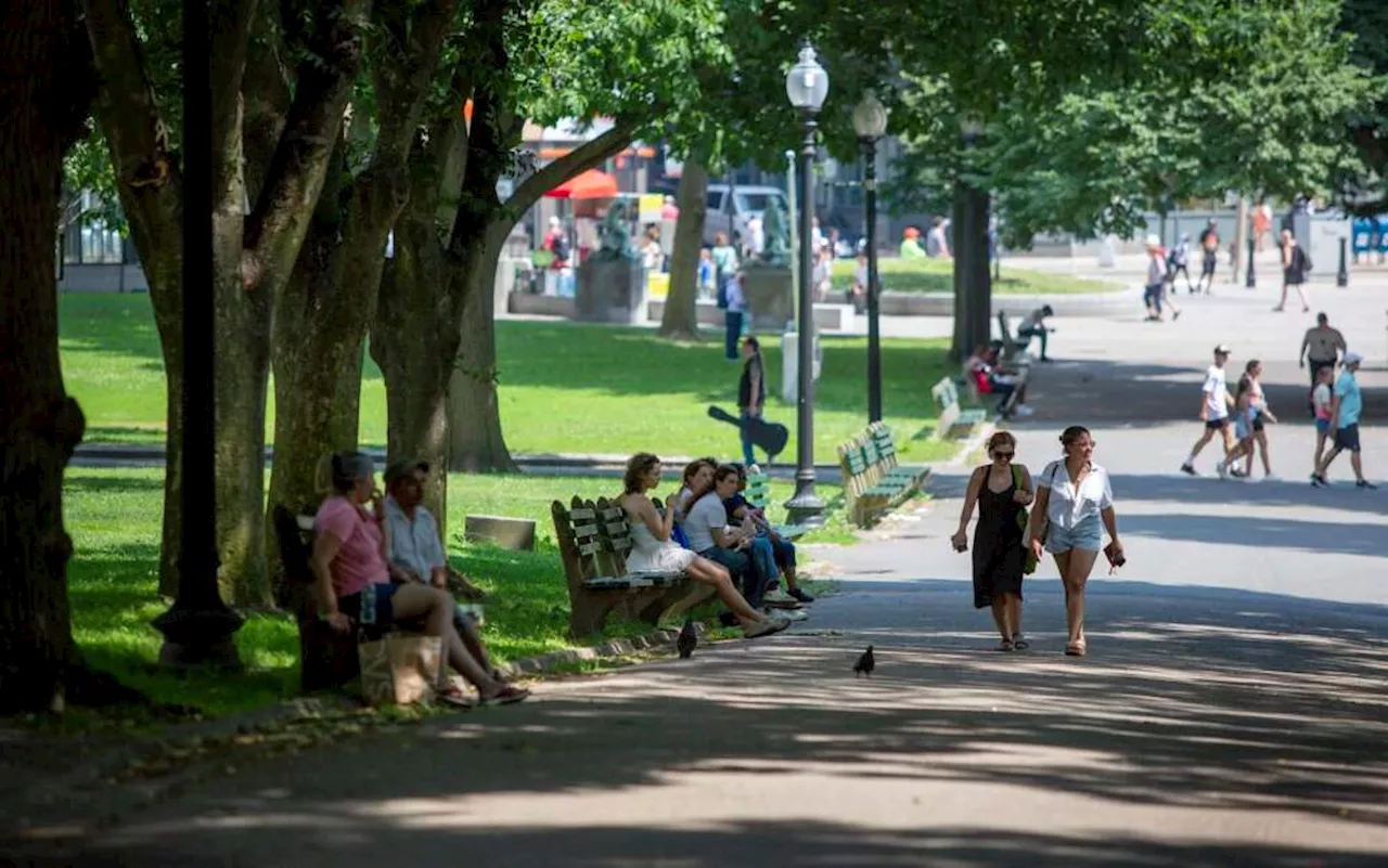 Boston Heat Sensors Reveal Uneven Impacts and Gaps in Emergency Planning