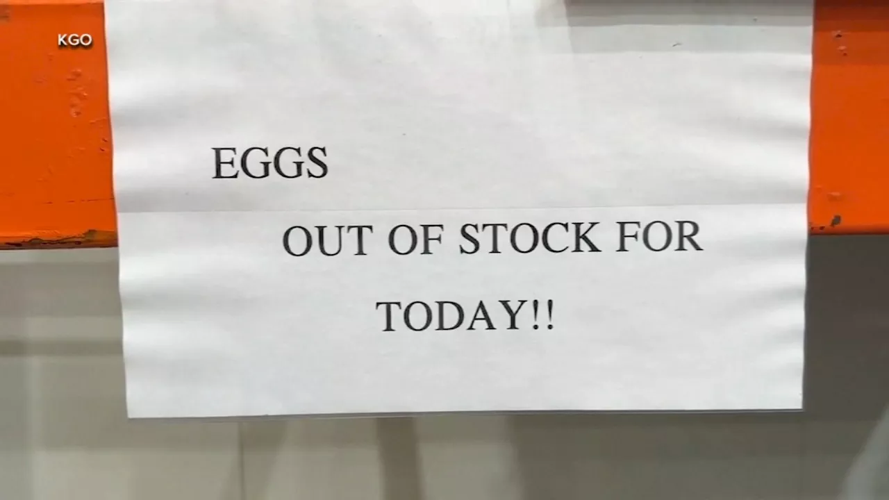 Egg Prices Expected to Stay High in 2025 Due to Avian Flu and Inflation