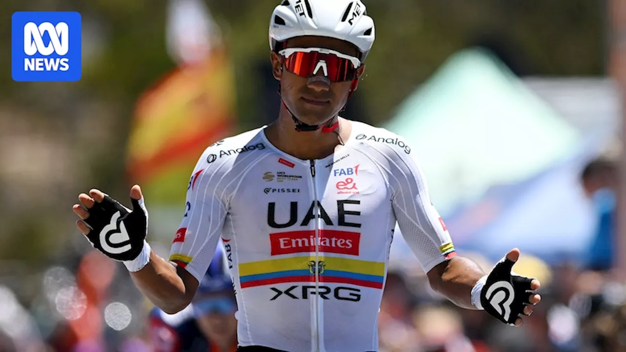 Tour Down Under explodes on Willunga Hill with a doomed escape and a brave solo attack foiled by Jhonatan Narváez