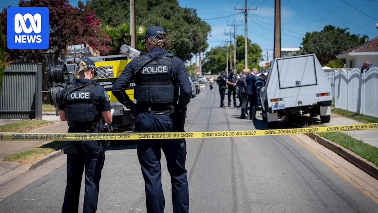 Woman Critical After Alleged Stabbing in Adelaide Domestic Assault