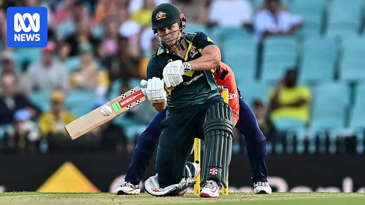 Women's Ashes Australia vs England third T20 live blog, updates and scores from Adelaide Oval