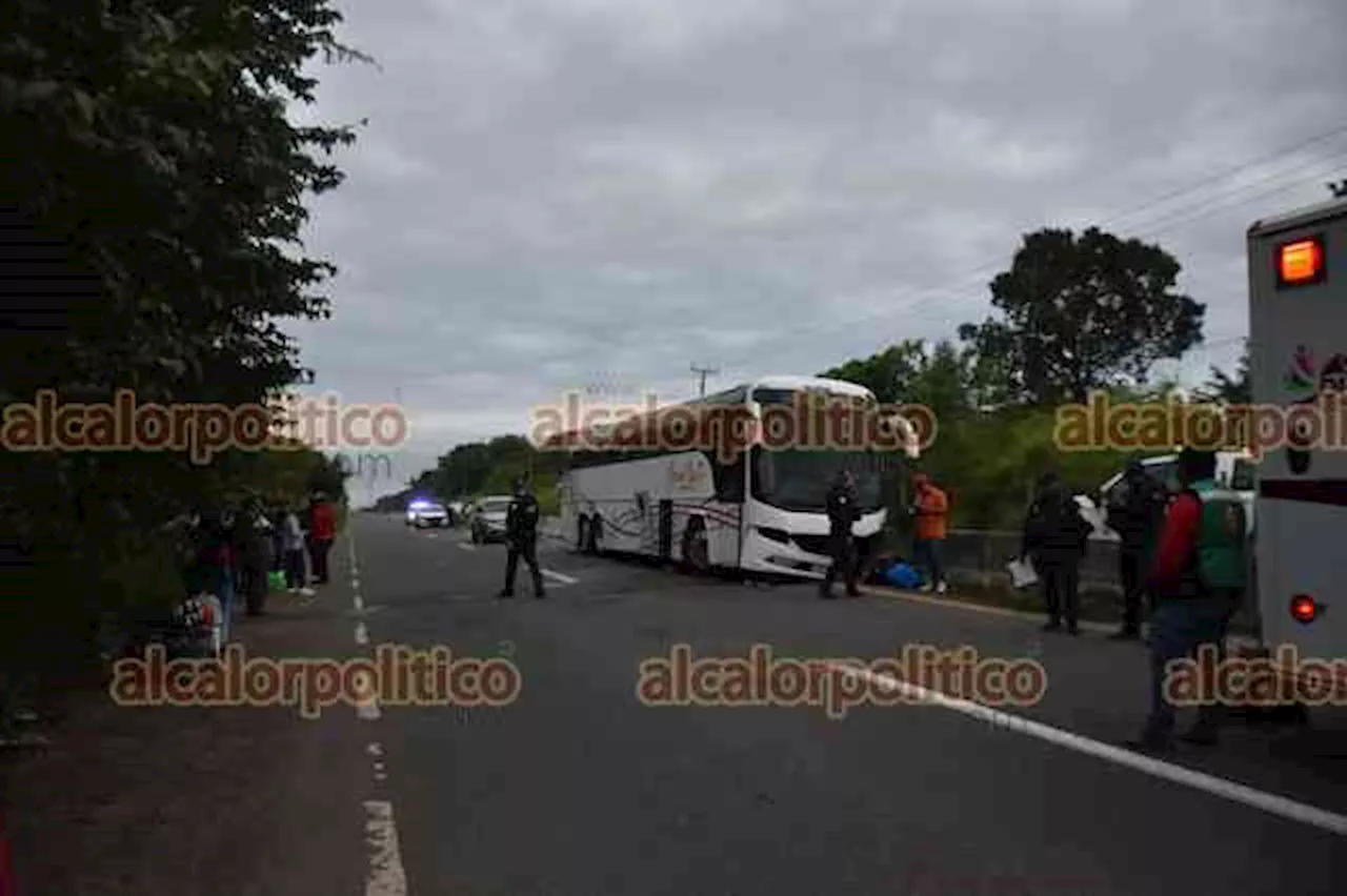 Autobús se impacta contra muro de contención, en el sur de Veracruz