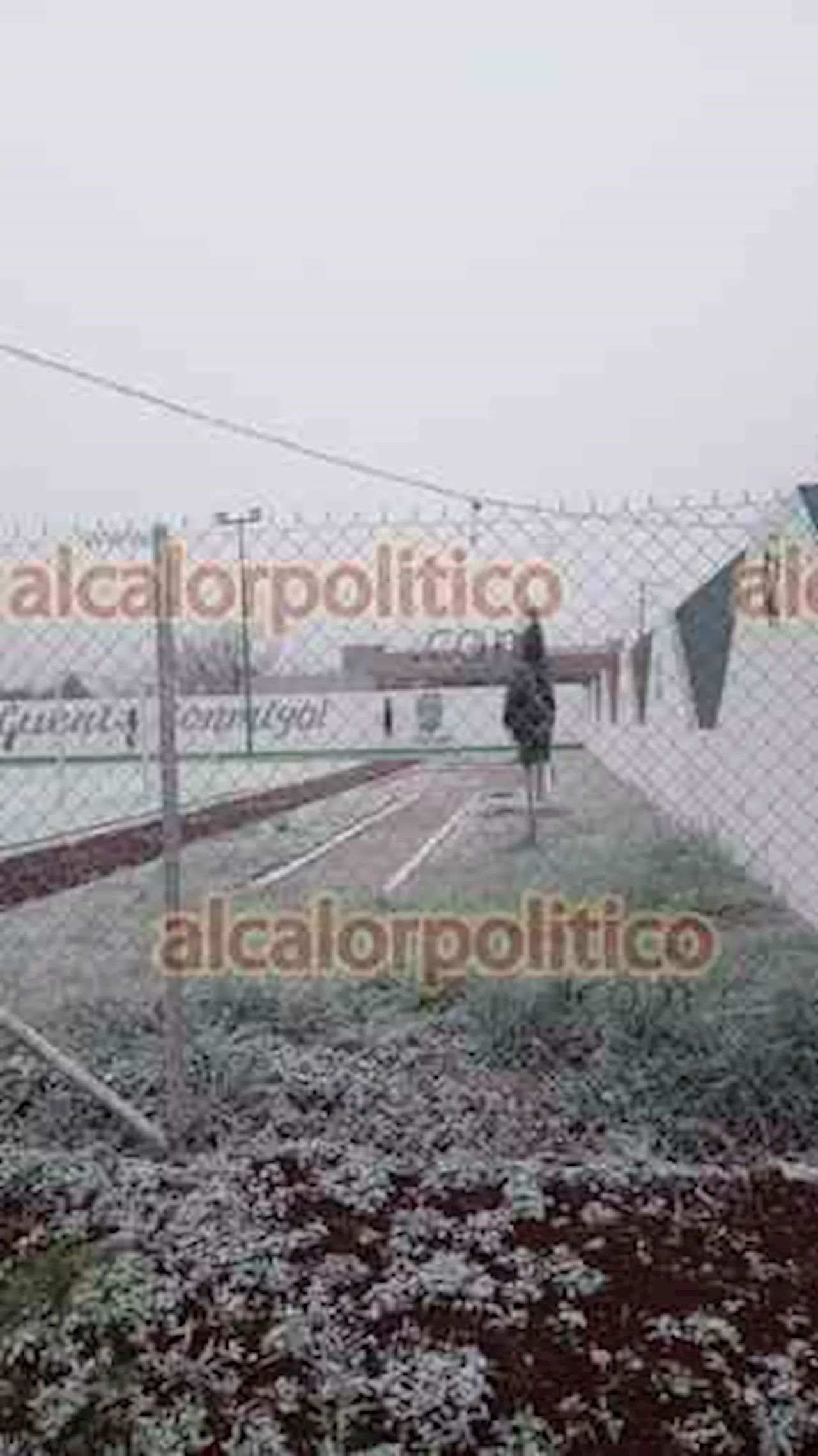 Nieve, lluvia engelante y cencellada azotan la sierra de Veracruz