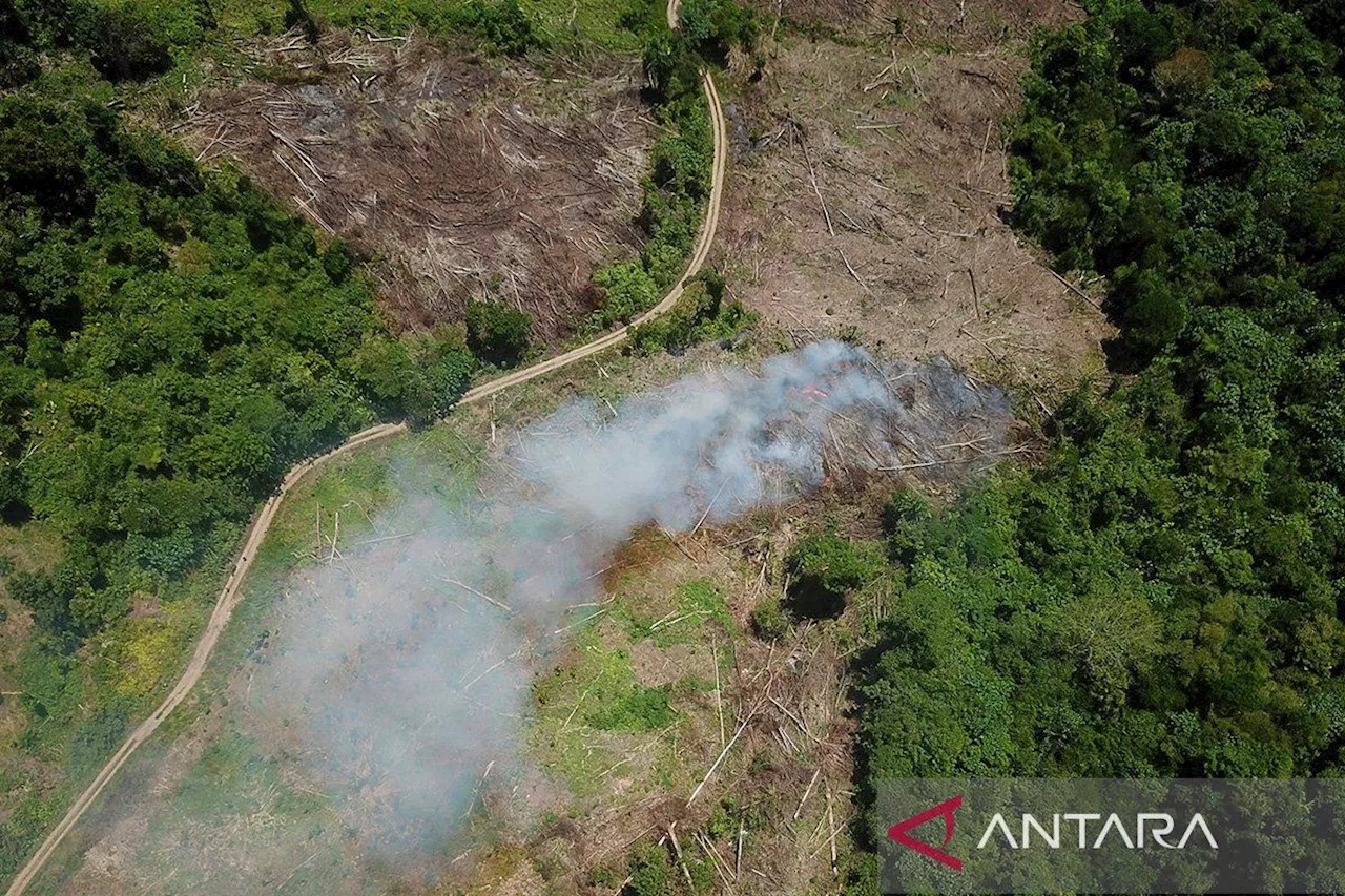 Bermulanya peradaban sehat dari tanah, air, dan udara yang sehat