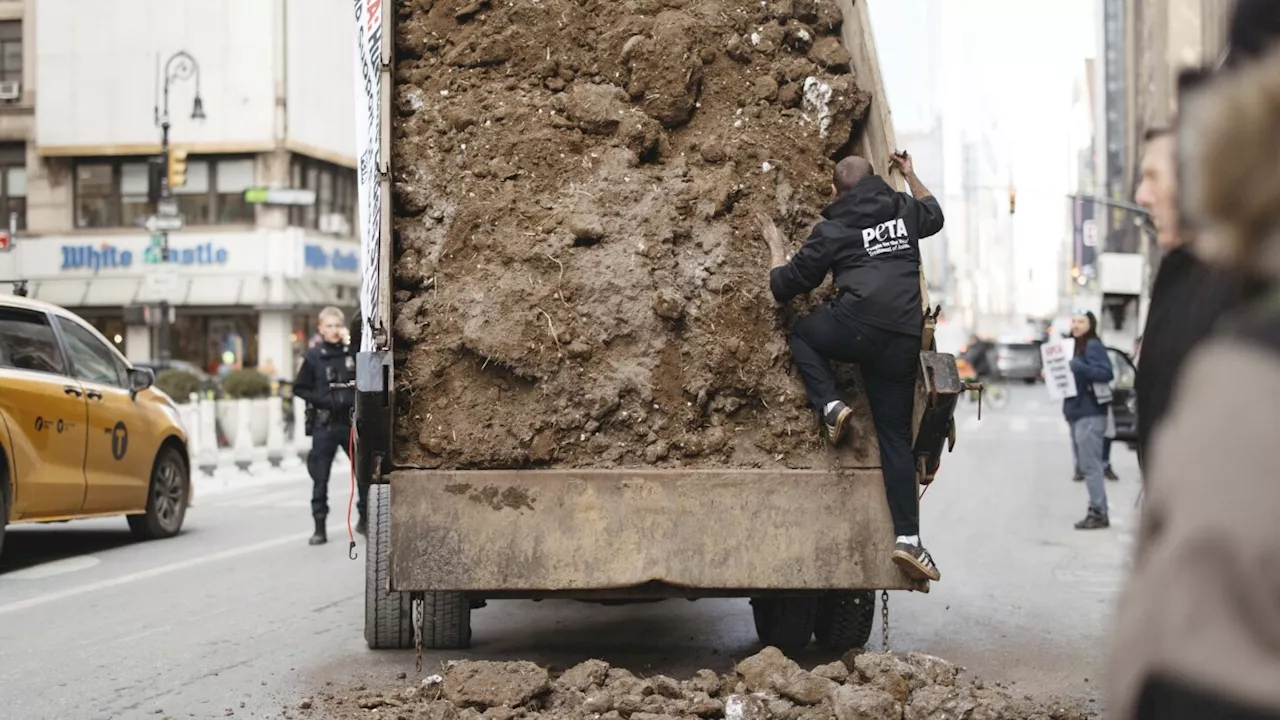 PETA activists arrested after trying to dump frozen manure outside rival group's office