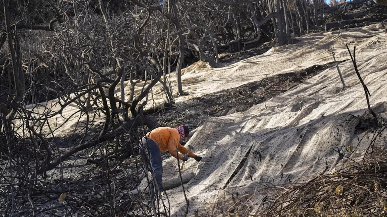 Rain on the way to Southern California will aid firefighters but create a risk of toxic ash runoff