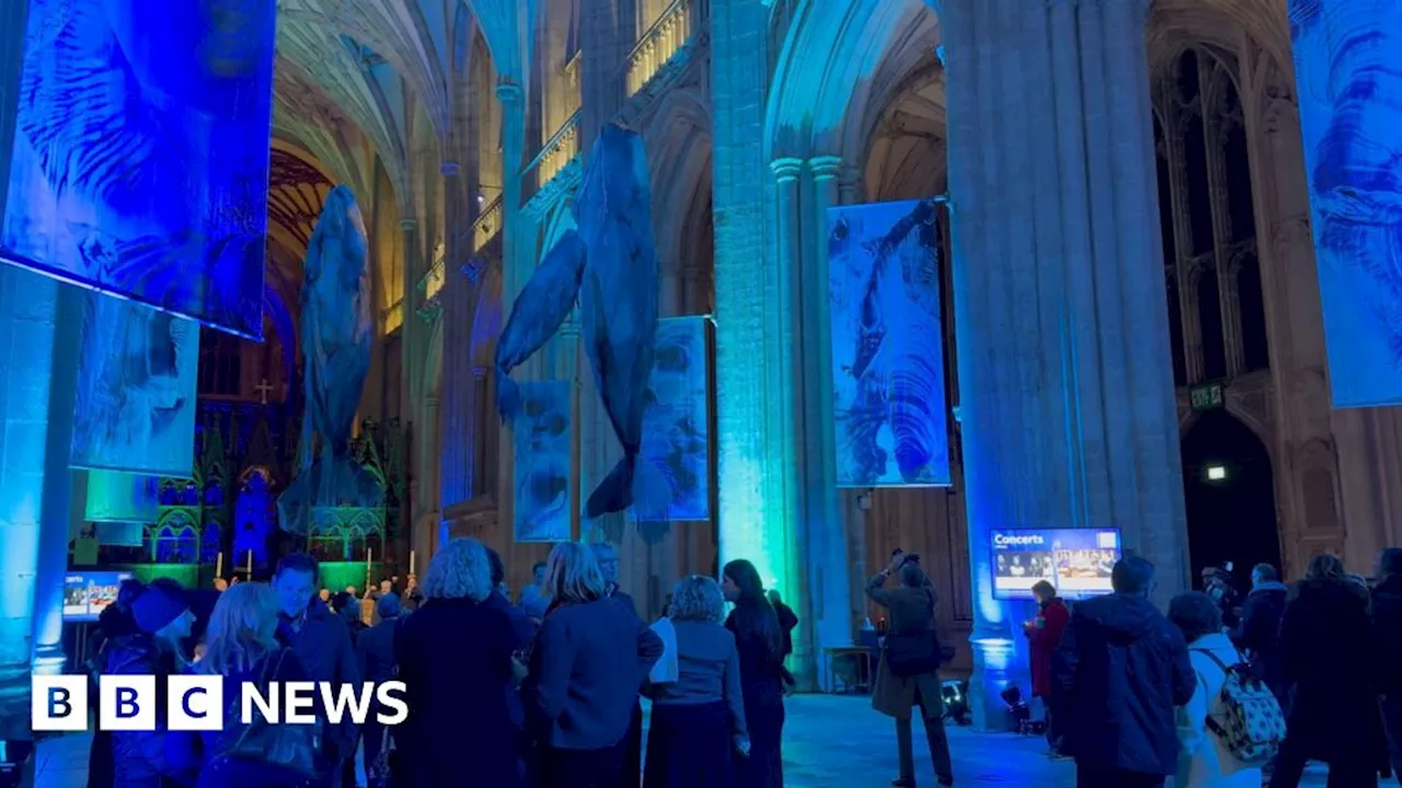 Whale of a Time: Art Installation Takes Visitors Under the Sea