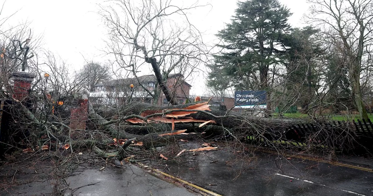 Storm Éowyn: Stormont update on latest travel disruption and power cuts