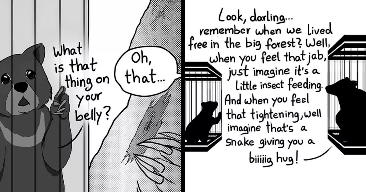 Jenny-Jinya's Comics: A Heartbreaking Call for Animal Compassion