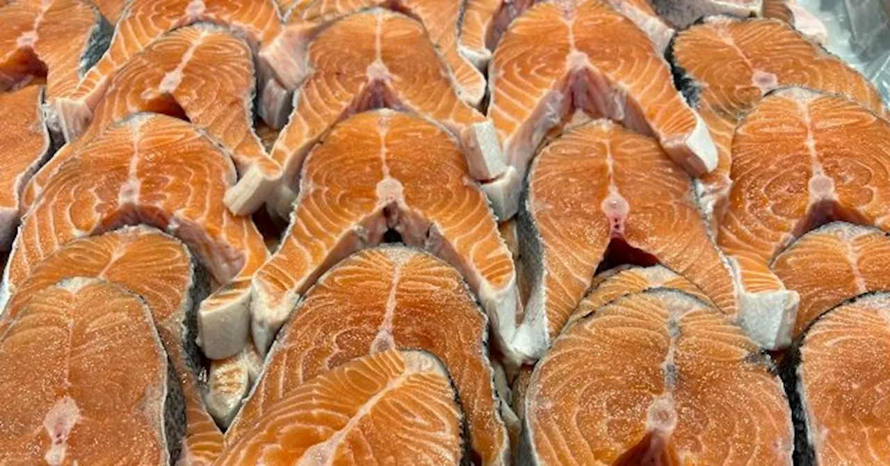 FDA Classifies Kirkland Signature Salmon Recall as Highest Risk