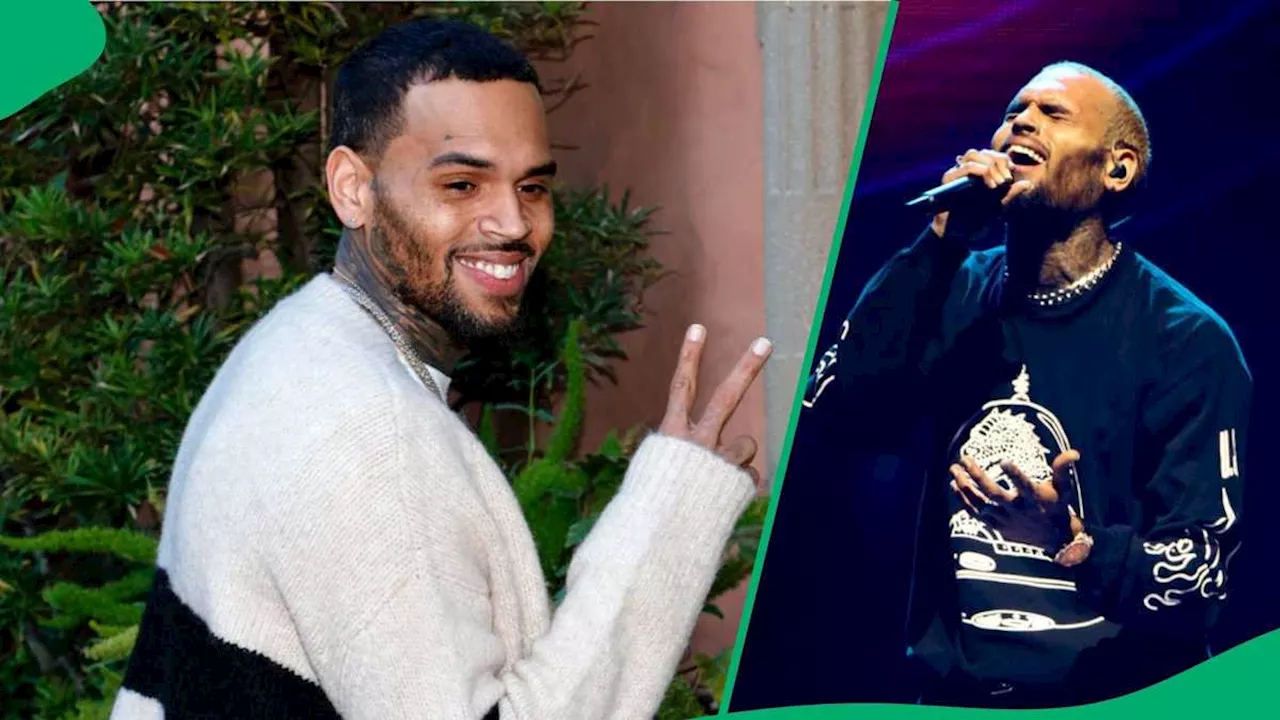 Chris Brown Honours South Africa in Latest Music Video, Mzansi Is Impressed