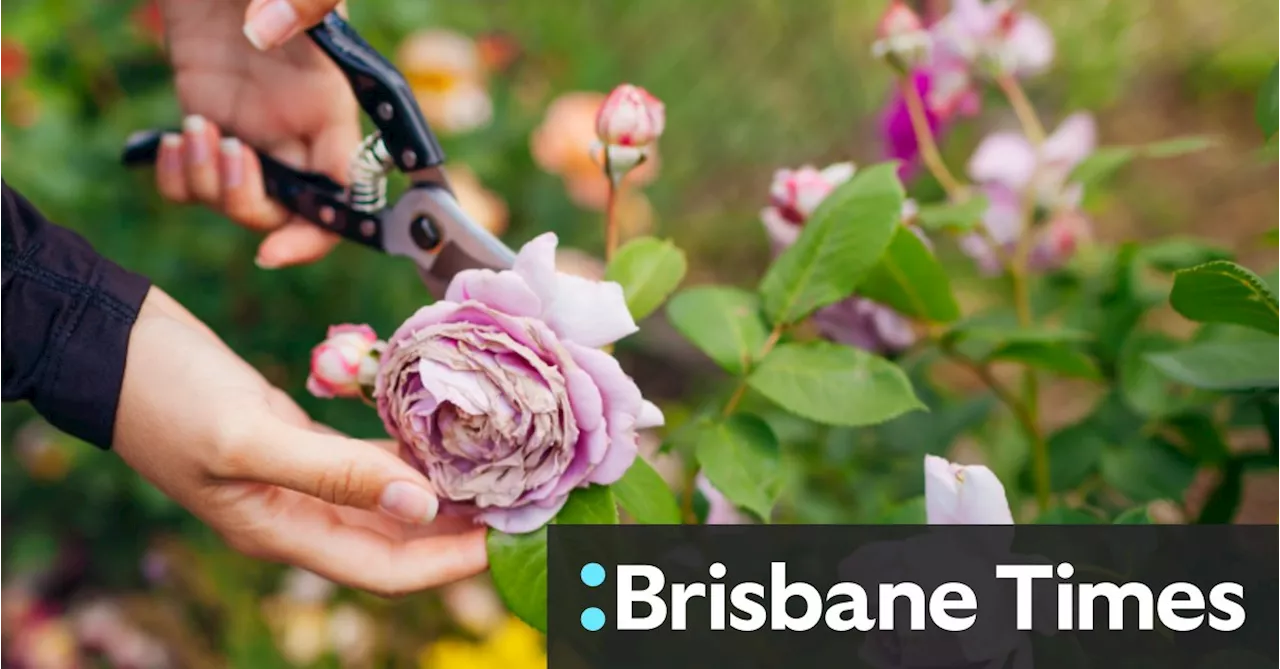 Don't Neglect Your Garden in Late January