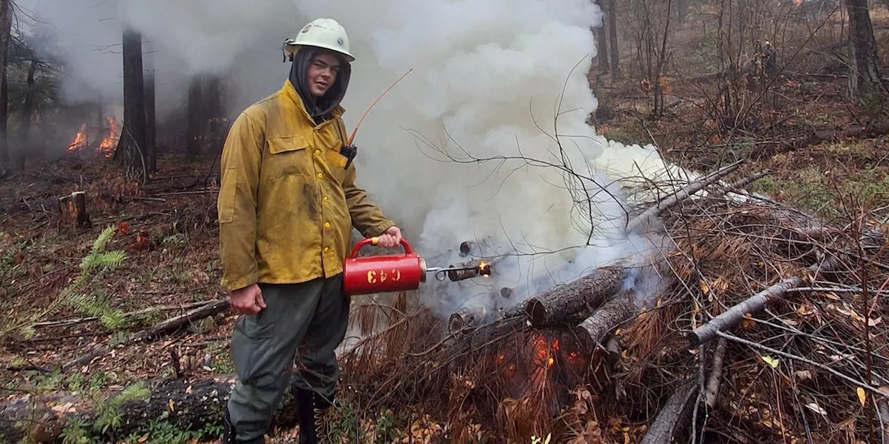 Firefighter's Perspective on the Increasing Intensity of Wildfires