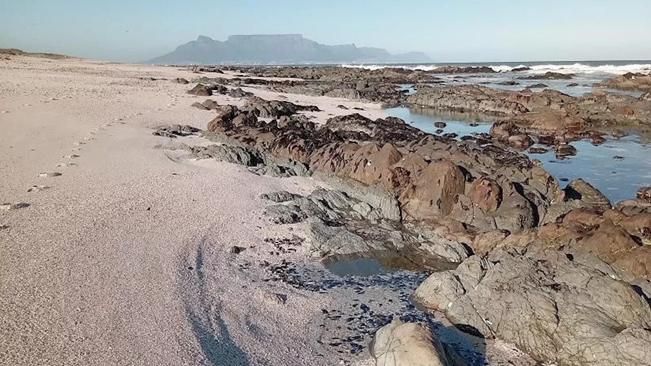 Cape Town Nature Reserves Going Cashless in 2025