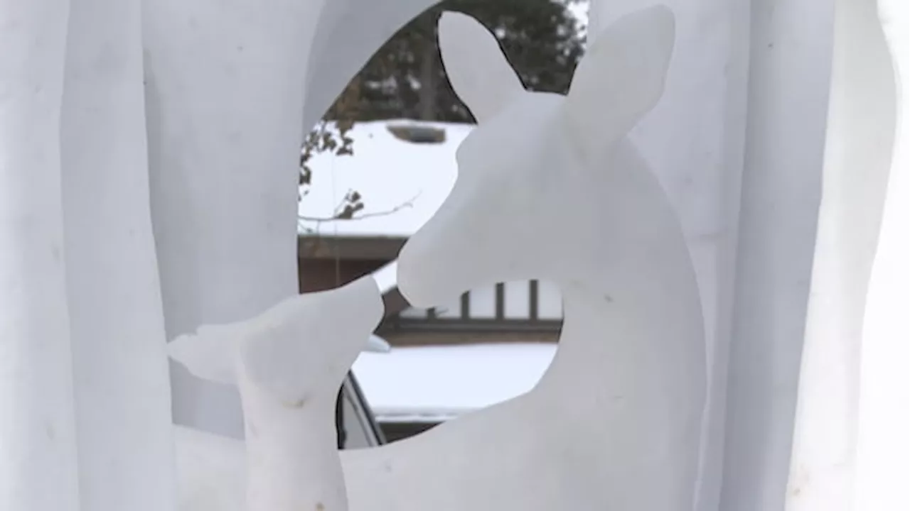 Banff's SnowDays Festival Captures Winter's Magic with Impressive Snow Sculptures